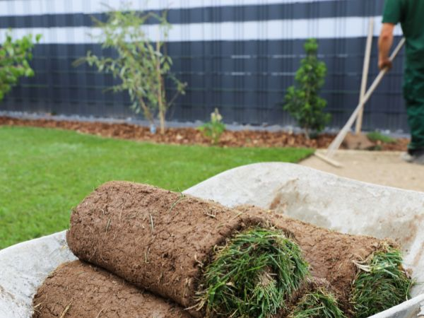 Landscaping In Wiltshire