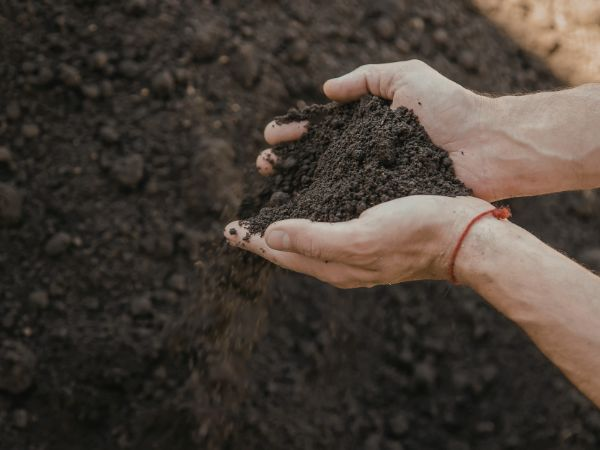 Topsoil In Wiltshire